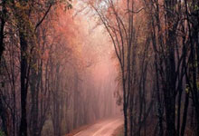 非凡体育：2025年“我要上全运”群众羽毛球吉林省选拔赛圆满落幕.