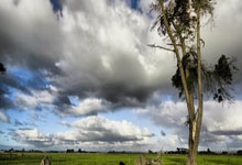 非凡体育：2025年“我要上全运”群众羽毛球吉林省选拔赛圆满落幕.